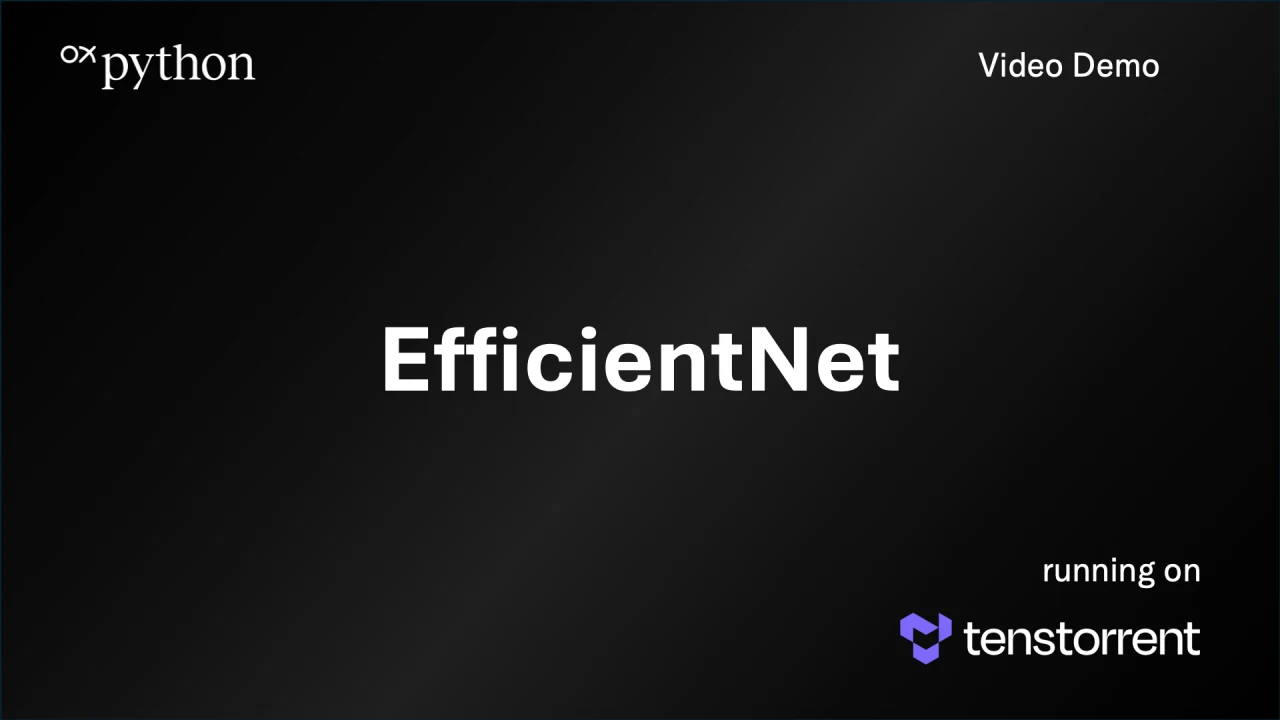 EfficientNet B0